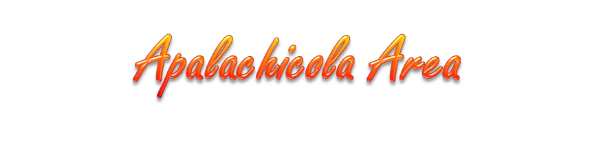 Apalachicola Webcams