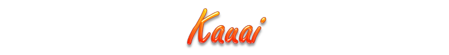 Kauai Webcams