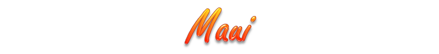 Maui Webcams