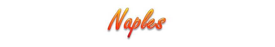 Naples Webcams